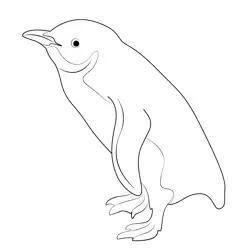Little Blue Penguin Standing Free Coloring Page for Kids