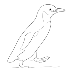 Little Penguin Free Coloring Page for Kids