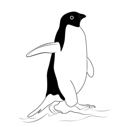Penguin 1 Free Coloring Page for Kids