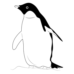 Penguin 2 Free Coloring Page for Kids