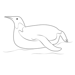 Penguin 3 Free Coloring Page for Kids
