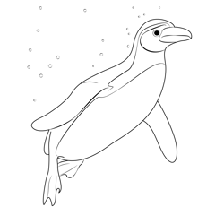 Penguin 6 Free Coloring Page for Kids
