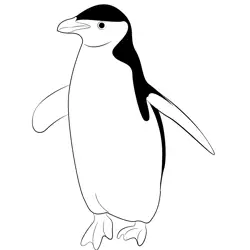 Penguin 7 Free Coloring Page for Kids