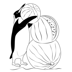 Penguin Details Free Coloring Page for Kids