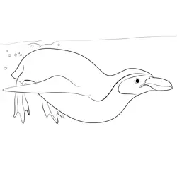 Penguin Swimming Underwater Free Coloring Page for Kids