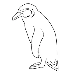 Penguin Free Coloring Page for Kids