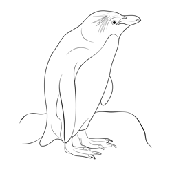 Rock Hopper Penguin Stand Free Coloring Page for Kids