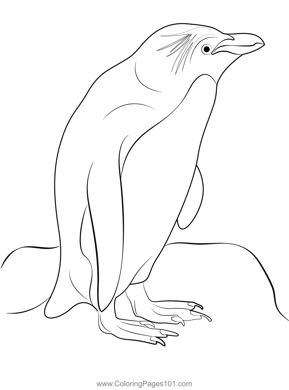 Rock Hopper Penguin Stand Coloring Page for Kids - Free Penguins Printable  Coloring Pages Online for Kids  | Coloring Pages for  Kids