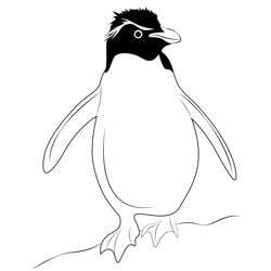 Rockhopper Penguin Free Coloring Page for Kids