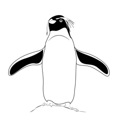 The Penguin Free Coloring Page for Kids