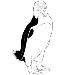 Yellow Eyed Penguin Free Coloring Page for Kids