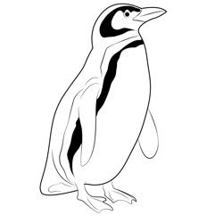 Young Penguin Free Coloring Page for Kids
