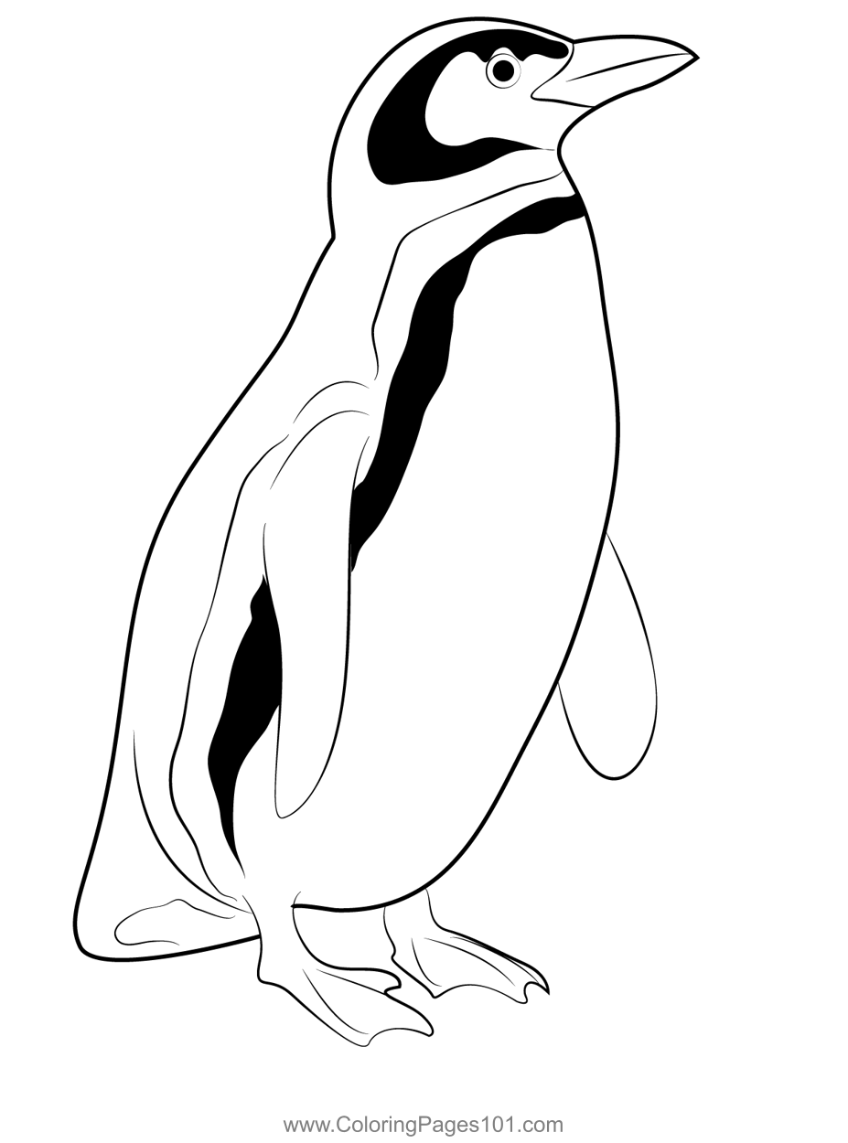 Download And Print Penguin Coloring Pages For Kids Free PDF 