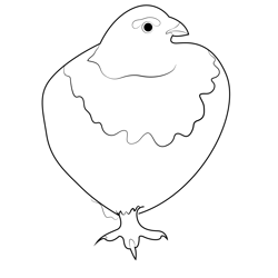 A Willow Ptarmigan Free Coloring Page for Kids