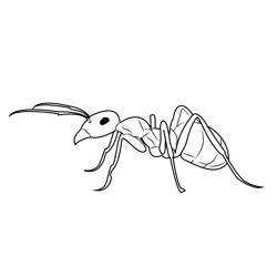 Ant Pest Control Free Coloring Page for Kids