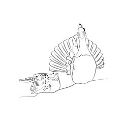 Capercaillie 1 Free Coloring Page for Kids