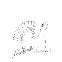 Capercaillie 11 Free Coloring Page for Kids