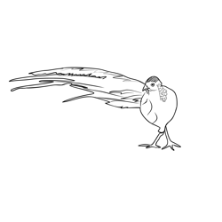 Golden Pheasant 2 Free Coloring Page for Kids