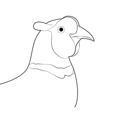 Head Ring Necked Pheasant Free Coloring Page for Kids