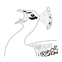 Peacock Open Mouth Free Coloring Page for Kids