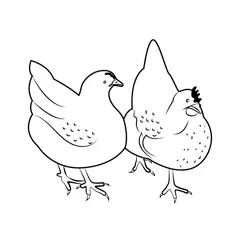 Rooster And Hen Walk Together Free Coloring Page for Kids