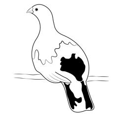 Sitting Willow Ptarmigan Free Coloring Page for Kids