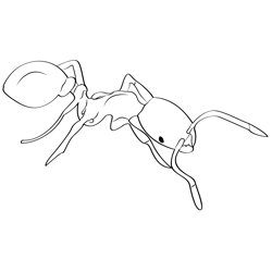 Thief Ants Free Coloring Page for Kids