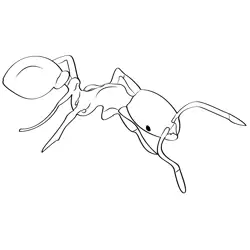 Thief Ants Free Coloring Page for Kids