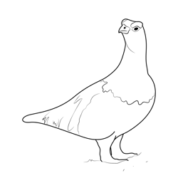 Willow Ptarmigan In Snow Free Coloring Page for Kids
