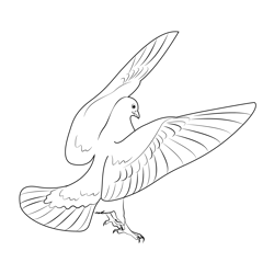 Beautiful Black Dove Land Free Coloring Page for Kids