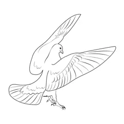Beautiful Black Dove Land Free Coloring Page for Kids