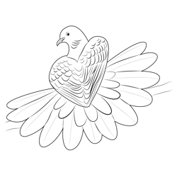 Beautiful Dove Free Coloring Page for Kids