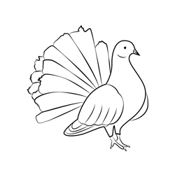 Beautiful White Dove Sitting Free Coloring Page for Kids