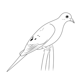 Dove 1 Free Coloring Page for Kids