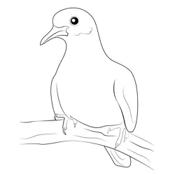 Dove Bird Free Coloring Page for Kids