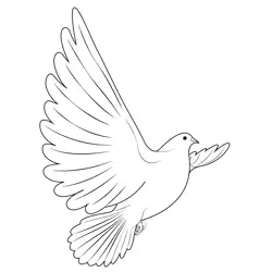 Dove In Flight Free Coloring Page for Kids