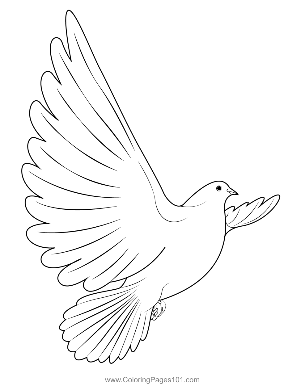Dove Coloring Sheet Turtle Diary Sketch Coloring Page