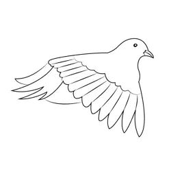 Dove Sitting On A Tree Branch Free Coloring Page for Kids