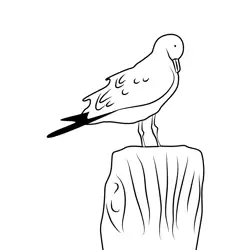 Dove Sitting On Log Free Coloring Page for Kids