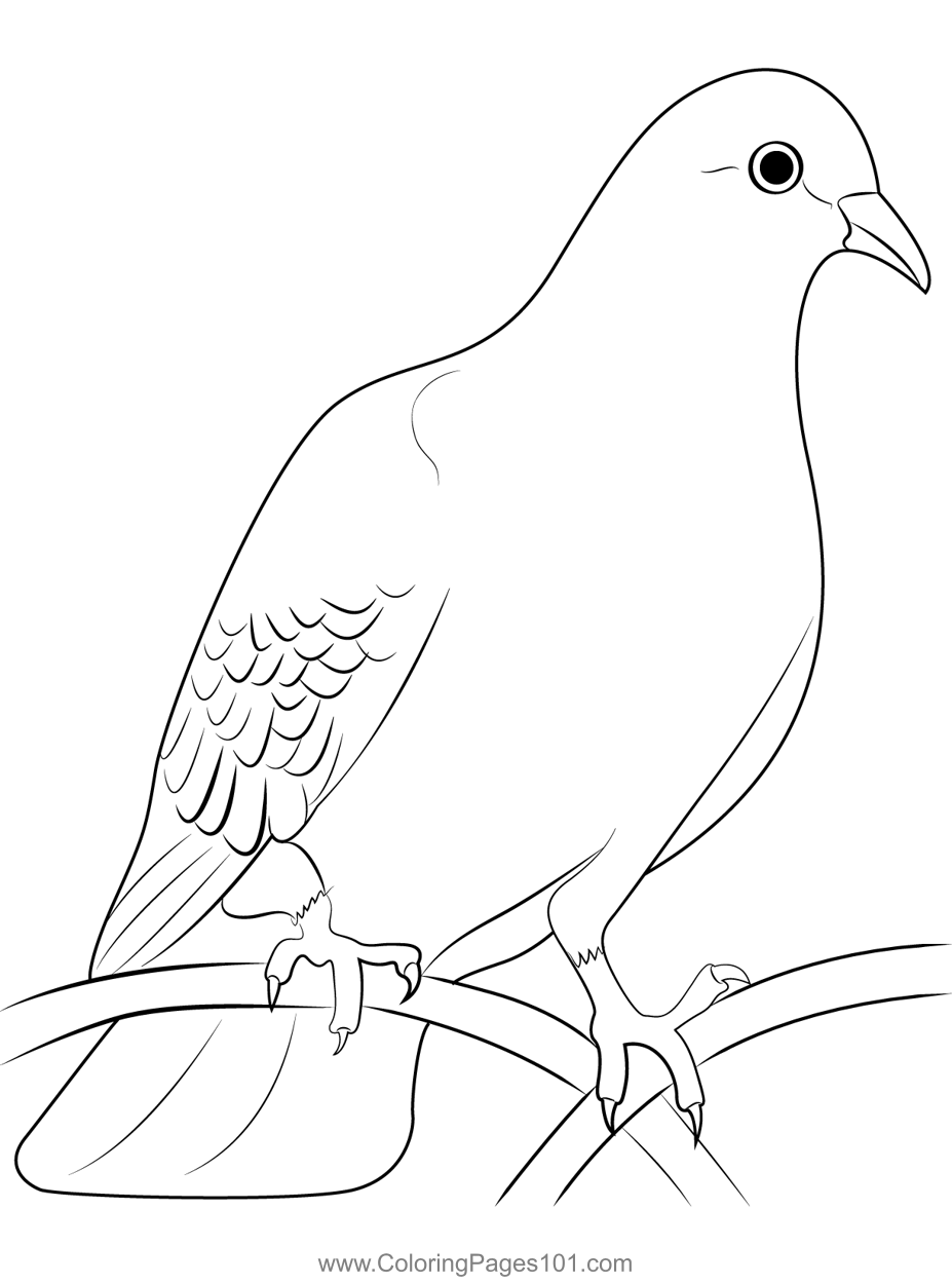Dove Coloring Page For Kids Free Pigeons And Doves Printable Coloring