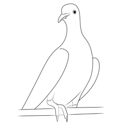 Love Dove Free Coloring Page for Kids
