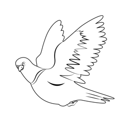 Pigeon In Flight Free Coloring Page for Kids