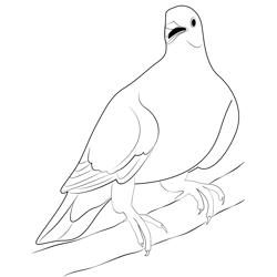 Pigeons Attacking Free Coloring Page for Kids
