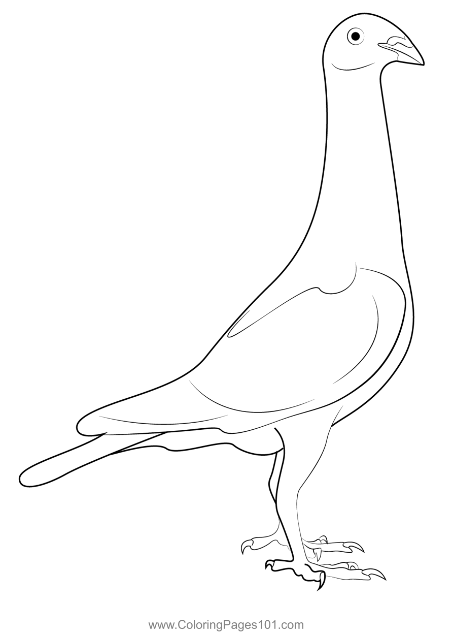 Pigeons Champion Coloring Page for Kids - Free Pigeons and Doves