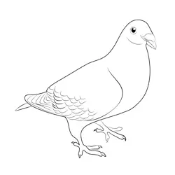 Racer Pigeon Free Coloring Page for Kids