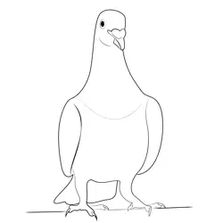 Relax Pigeon Free Coloring Page for Kids