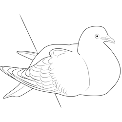 Resting Pigeon Free Coloring Page for Kids