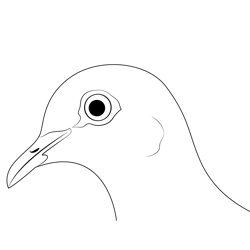 White Dove Ring Enhanced Free Coloring Page for Kids