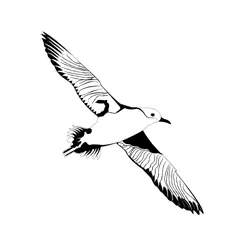 Birds Balearic Shearwater 1 Free Coloring Page for Kids
