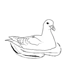 Fulmar 1 Free Coloring Page for Kids